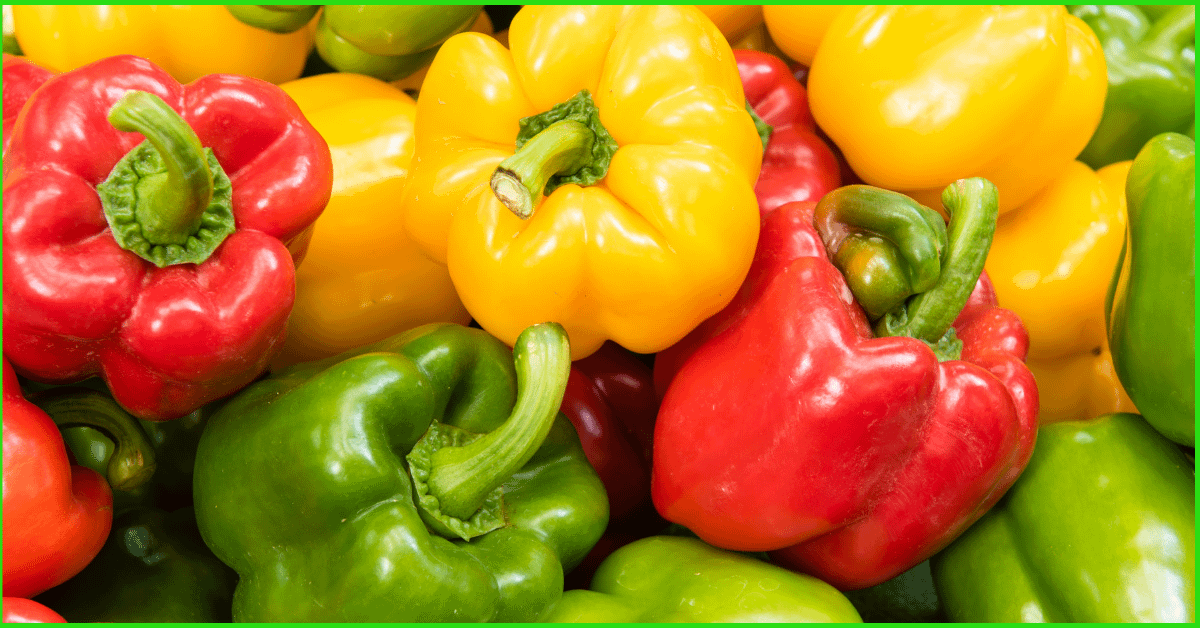 How To Grow Bell Peppers