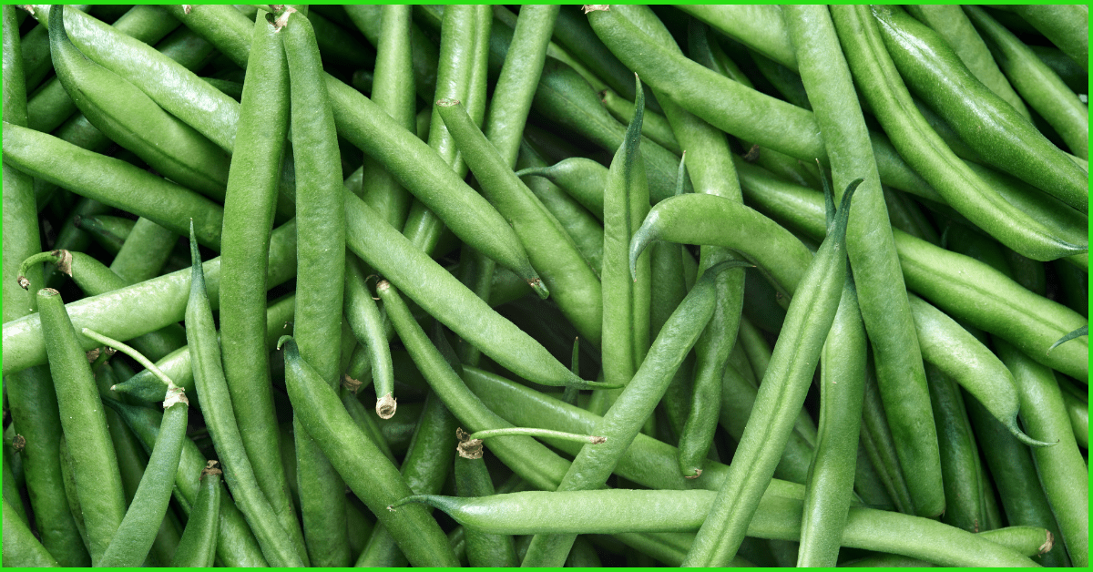 How To Grow Green Beans