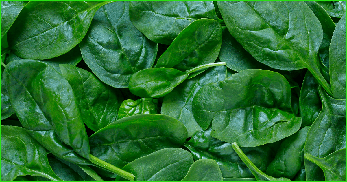 How To Grow Spinach