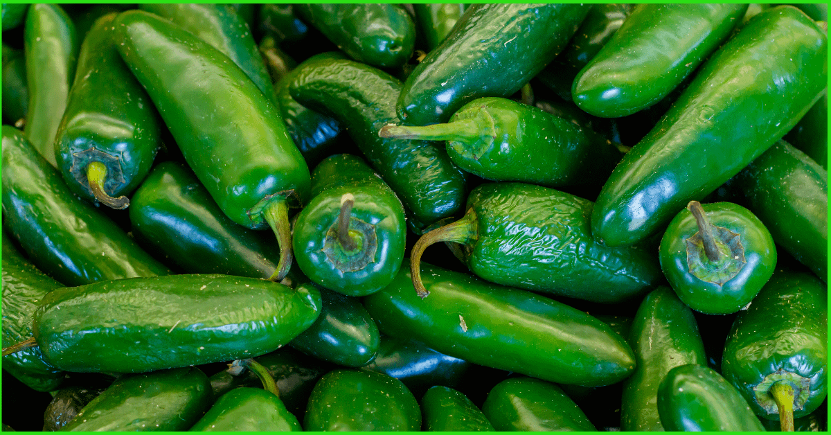 How To Grow Jalapeno Peppers